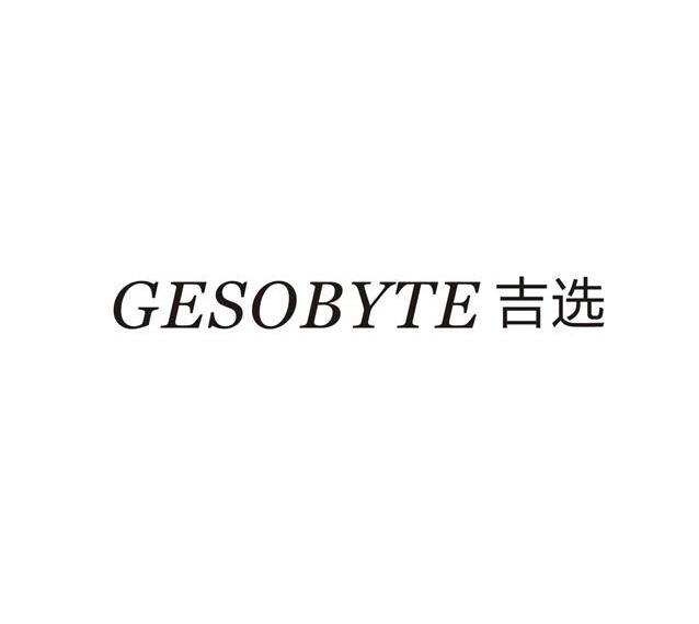 吉选gesobyte 商标注册申请注册公告排版完成