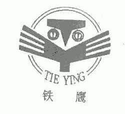 铁鹰