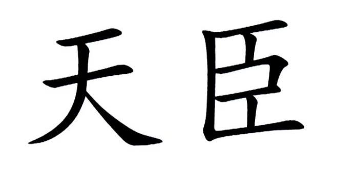 2019-10-30国际分类:第39类-运输贮藏商标申请人 天臣新能源(深圳)