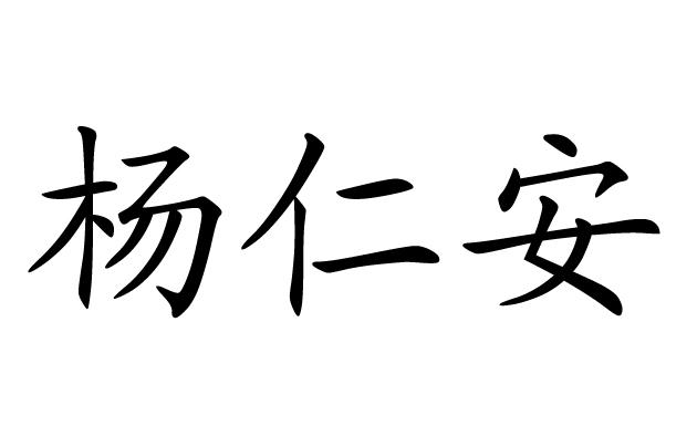 em>杨仁安/em>