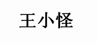 em>王小怪/em>