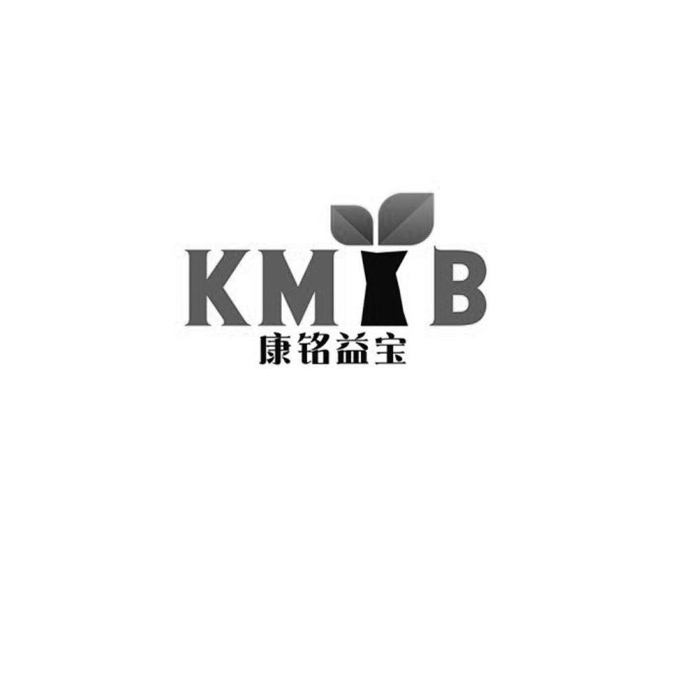 em>康铭益宝/em kmy em>b/em>