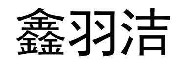 em>鑫羽洁/em>