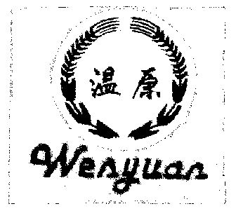 温原;wen yuan