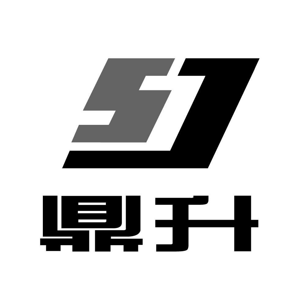 升降设备有限公司办理/代理机构:河南省 鼎宏知识产权代理有限公司