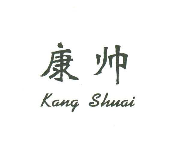 康帅;kang shuai