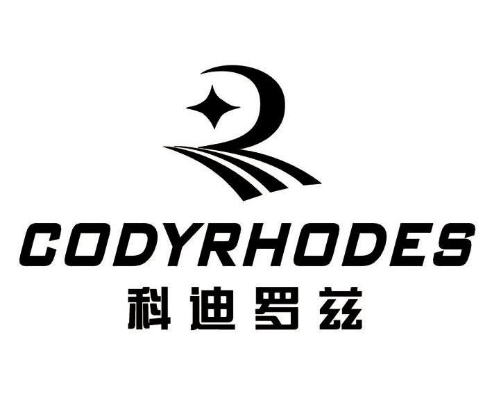  em>科迪罗 /em>兹 codyrhodes