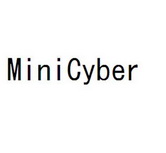 em>mini/em em>cyber/em>