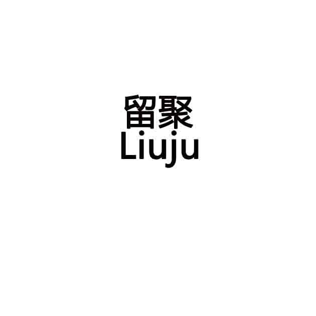 2016-05-10国际分类:第30类-方便食品商标申请人:王留聚办理/代理机构