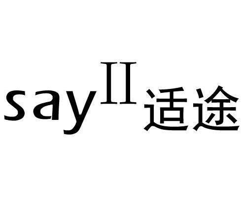 em>适途/em say ii