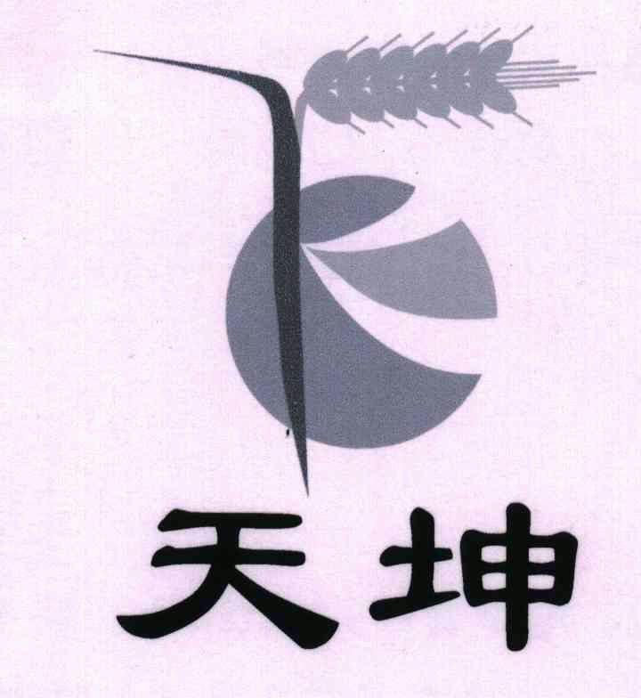 天坤