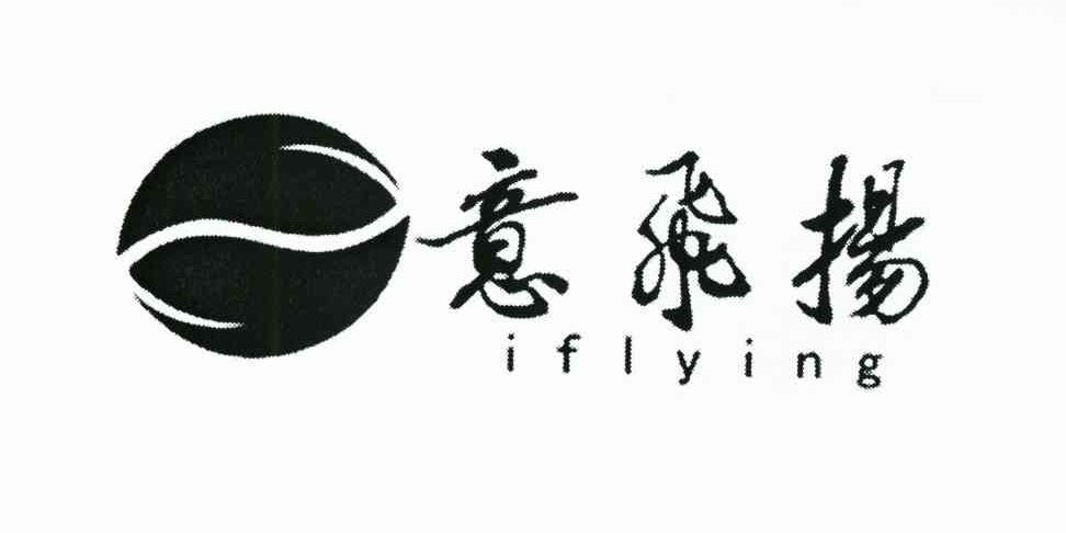 em>意/em em>飞扬/em iflying