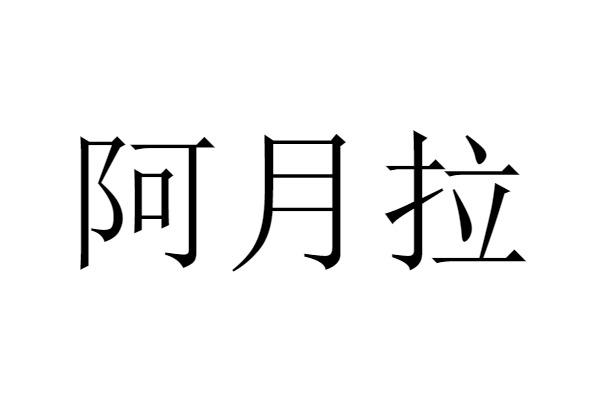爱企查_工商信息查询_公司企业注册信息查询_国家企业