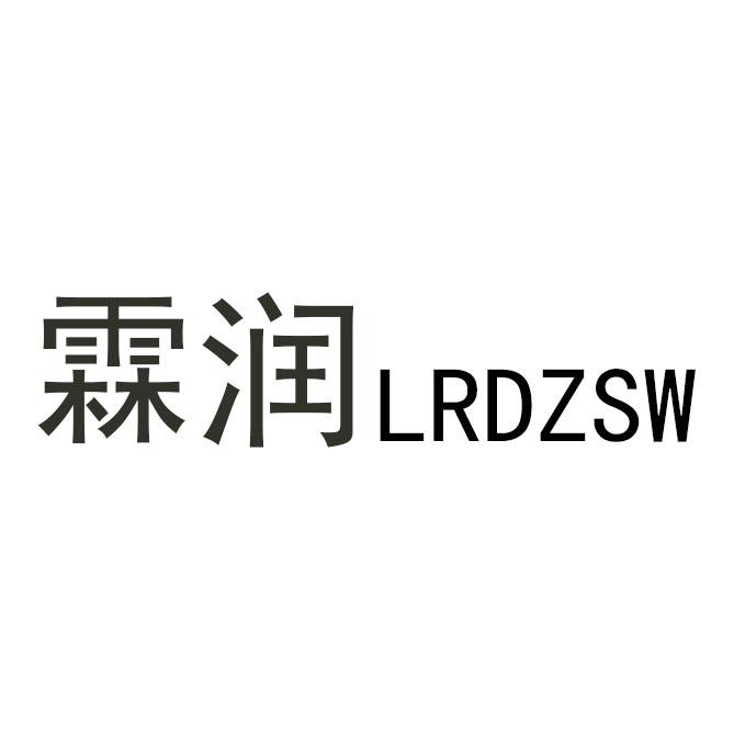 霖润lrdzsw