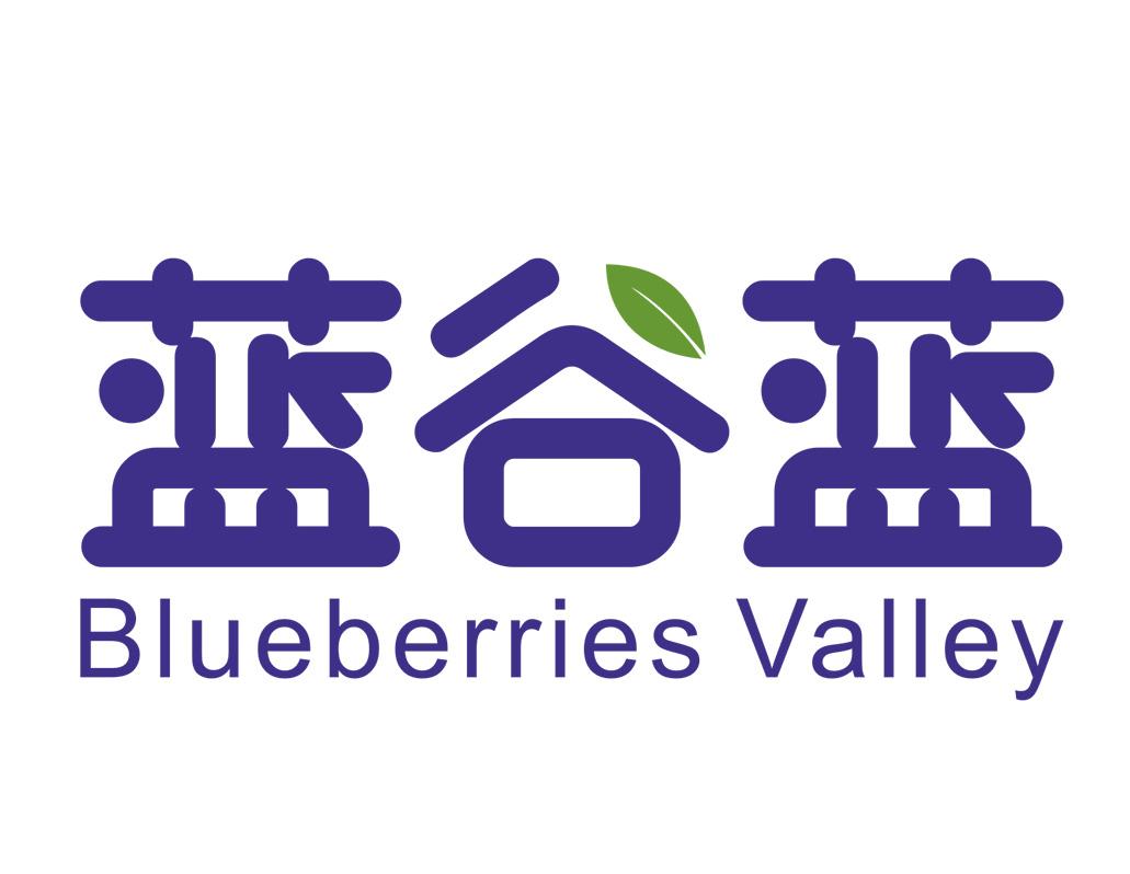 蓝谷蓝 em>blueberries/em valley