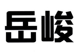 em>岳峻/em>