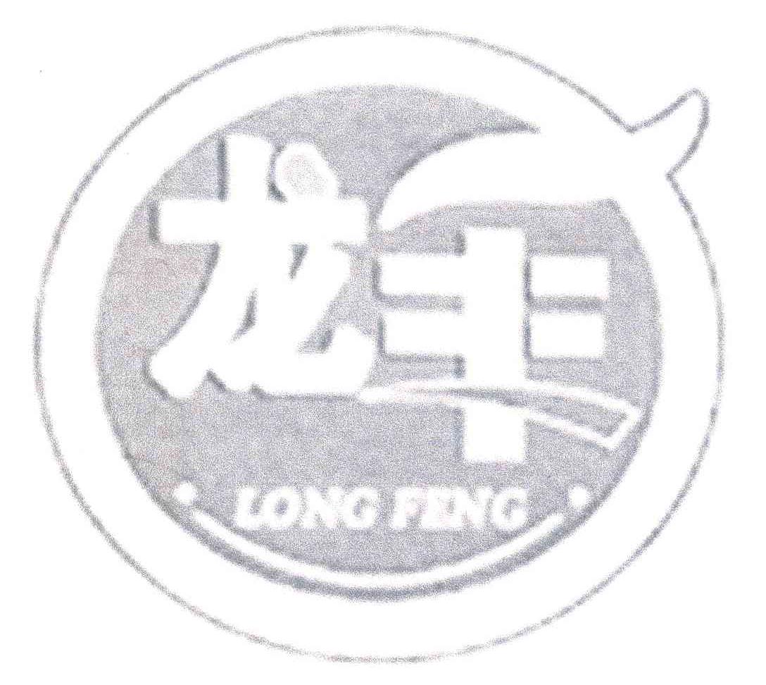 em>龙丰/em;long feng