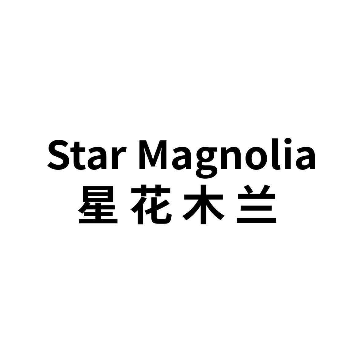 星花木兰 star magnolia                    