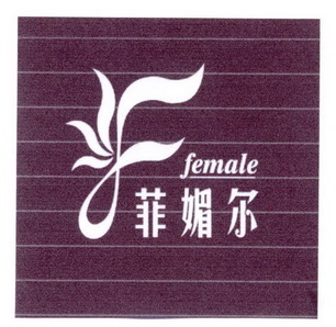 em>菲媚尔/em em>female/em>