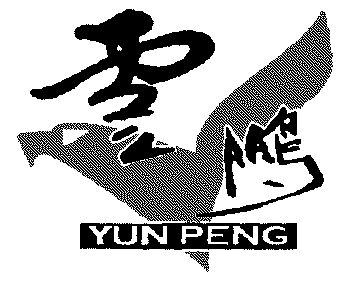 商标详情申请人:天津市云鹏环保科技开发有限责任公司 办理/代理机构