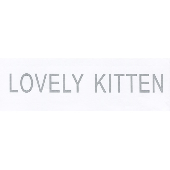 em>lovely/em kitten