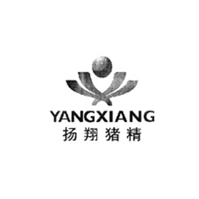 扬翔猪精 yangxiang