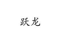 跃龙