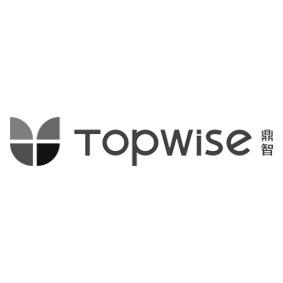 鼎智 em>topwise/em>