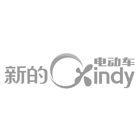 新的 em>电动车/em em>xindy/em>
