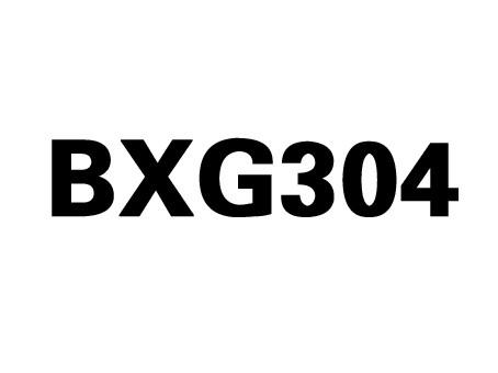 bxg 304