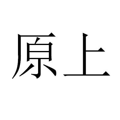 原上_企业商标大全_商标信息查询_爱企查