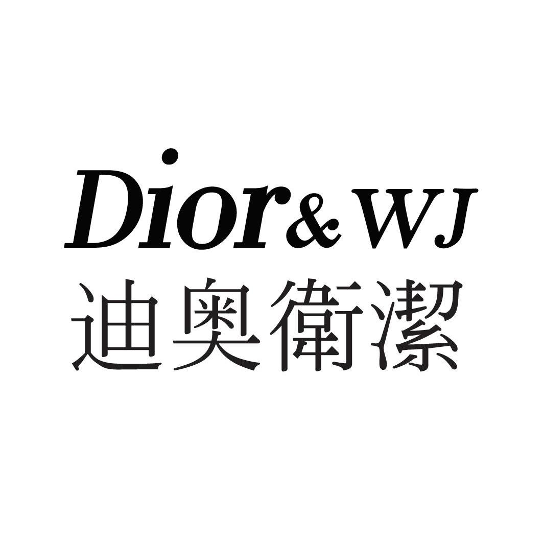 em>迪奥/em em>卫洁/em em>dior/em em>wj/em>