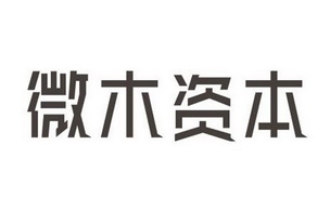 微木资本 企业商标大全 商标信息查询 爱企查