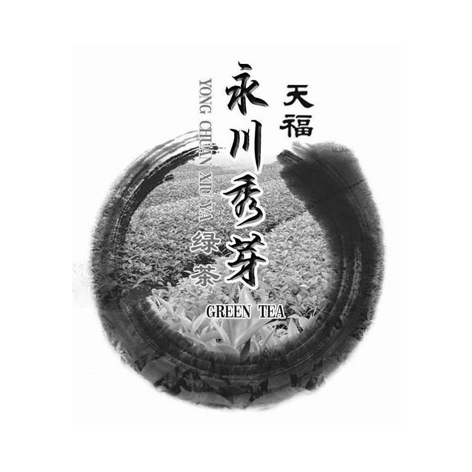 天福 永川秀芽 绿茶 yong  em>chuan /em>  em>xiu /em> ya green tea