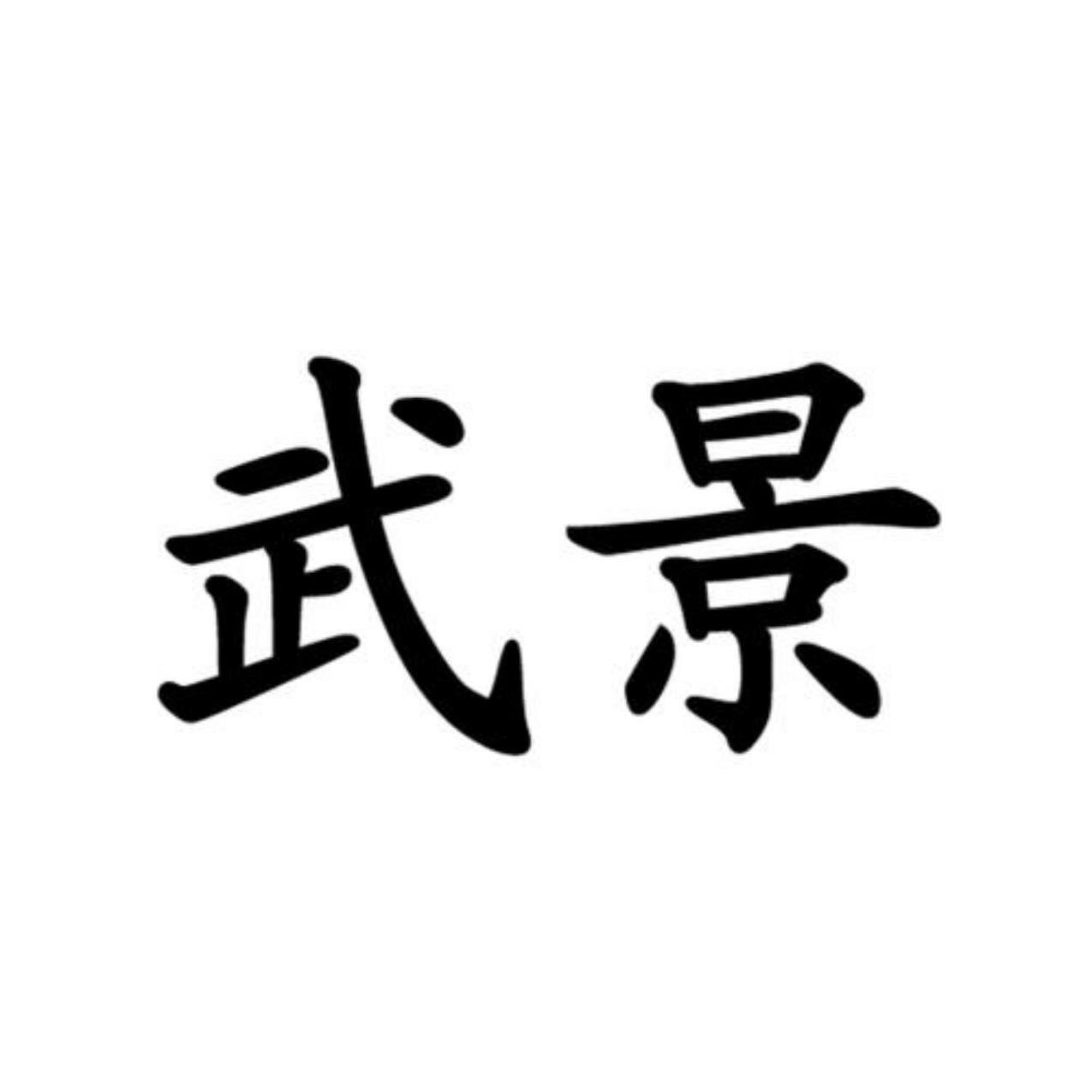 武景_企业商标大全_商标信息查询_爱企查