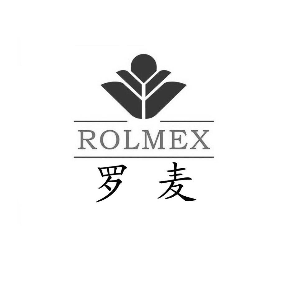 em>罗麦/em em>rolmex/em>