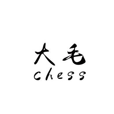 大毛chess