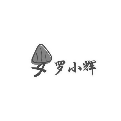罗小辉