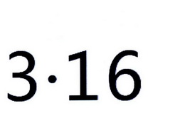  em>316 /em>