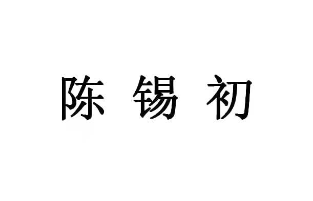 陈锡初