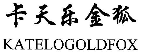 2002-12-06国际分类:第25类-服装鞋帽商标申请人:邢永民办理/代理机构