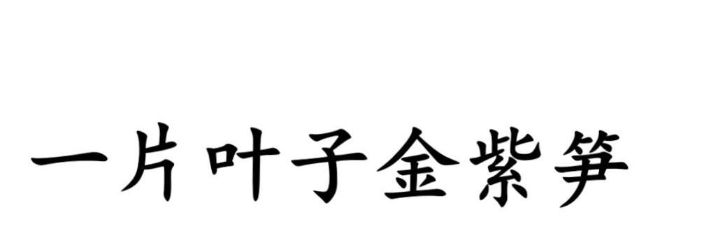 一片叶子金紫笋