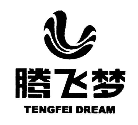 腾飞梦 tengfei dream                      