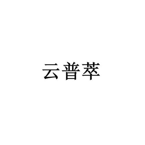 2021-10-20国际分类:第35类-广告销售商标申请人:施伟栋办理/代理机构