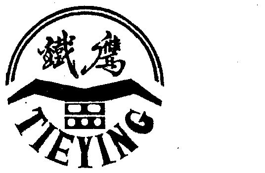 铁鹰