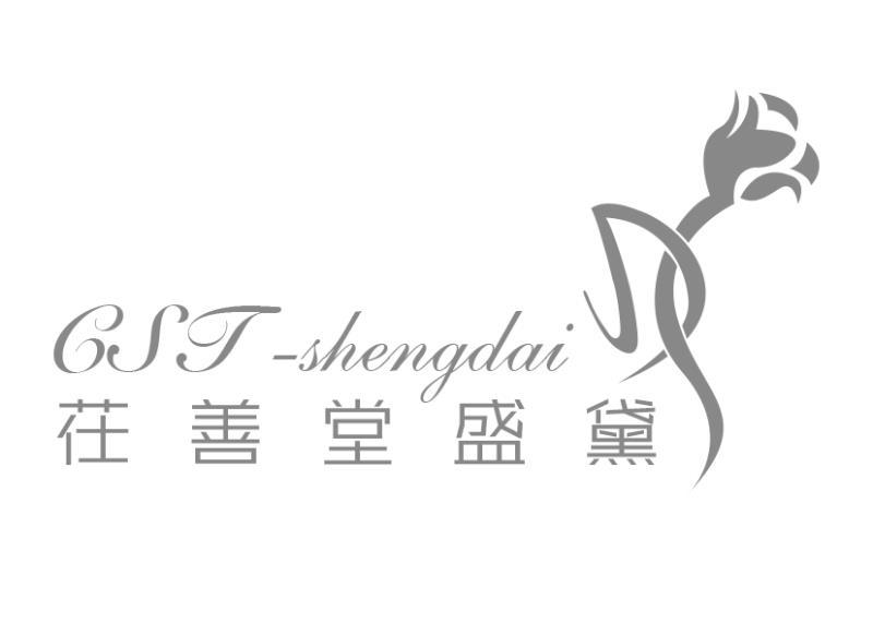 茌善堂盛黛 csj - em>shengdai /em>