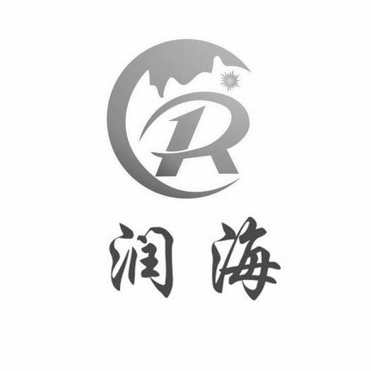 商标申请人:江苏 润海环保工程有限公司办理/代理机构:苏州创策知识