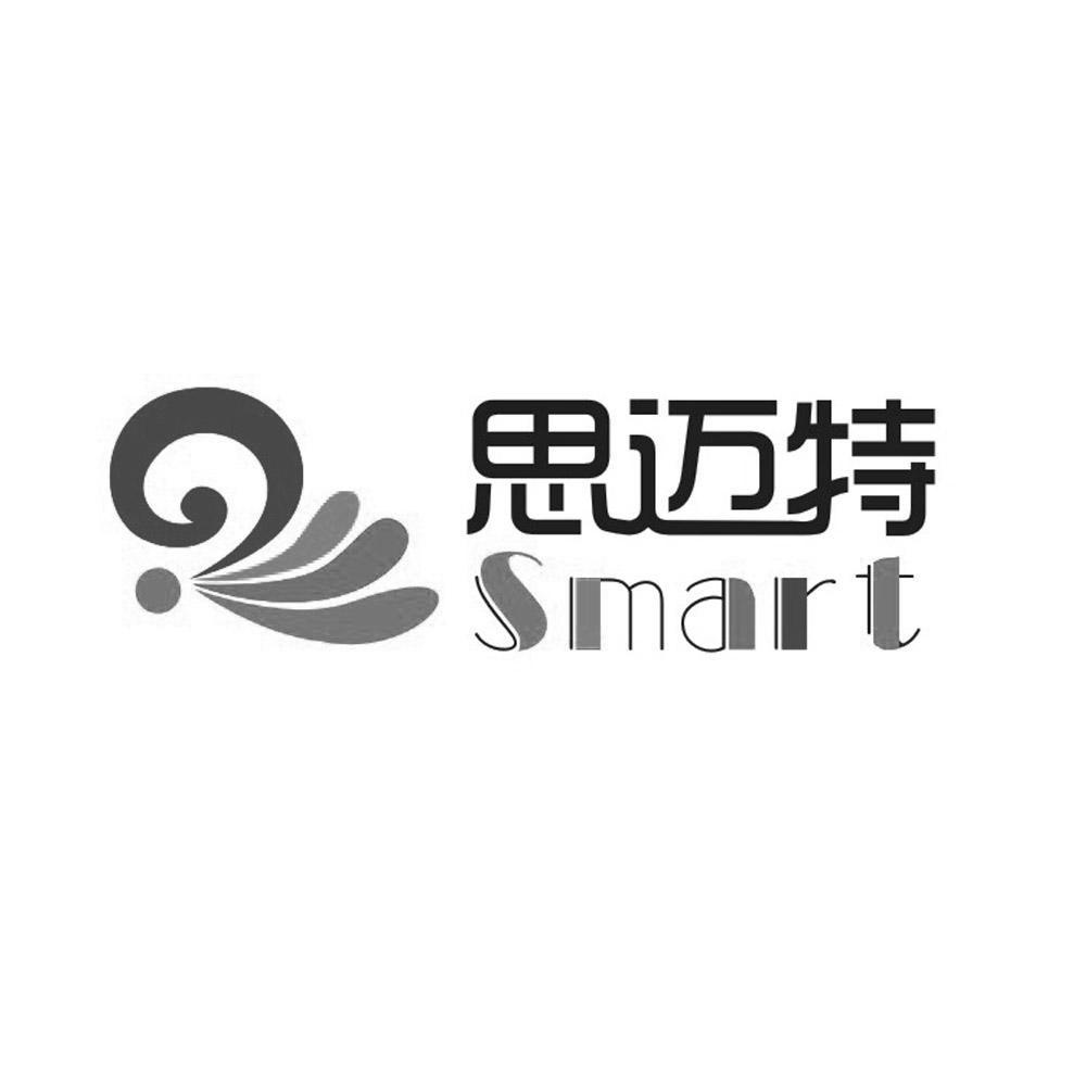 思迈特 em>smart/em>