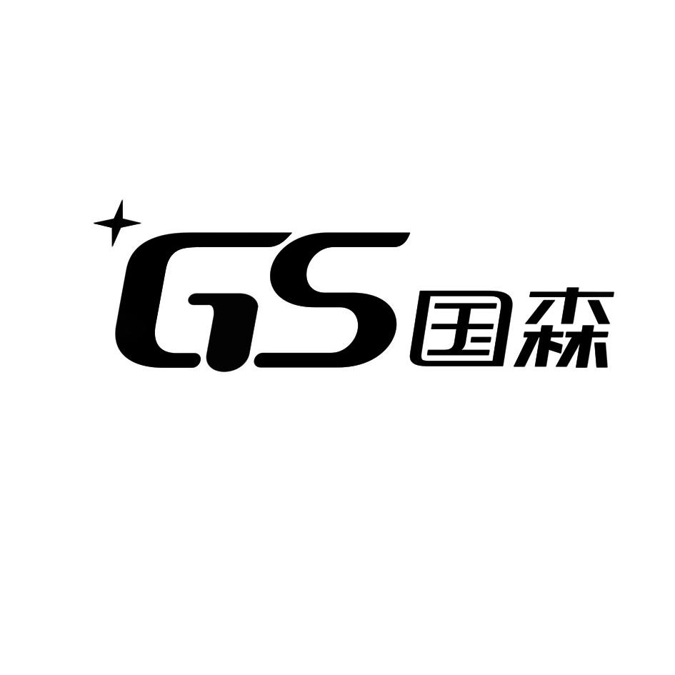 国森gs