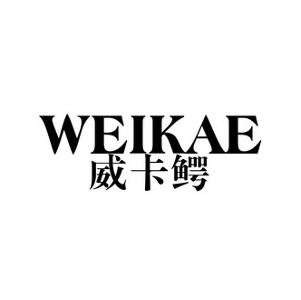 未卡e_企业商标大全_商标信息查询_爱企查